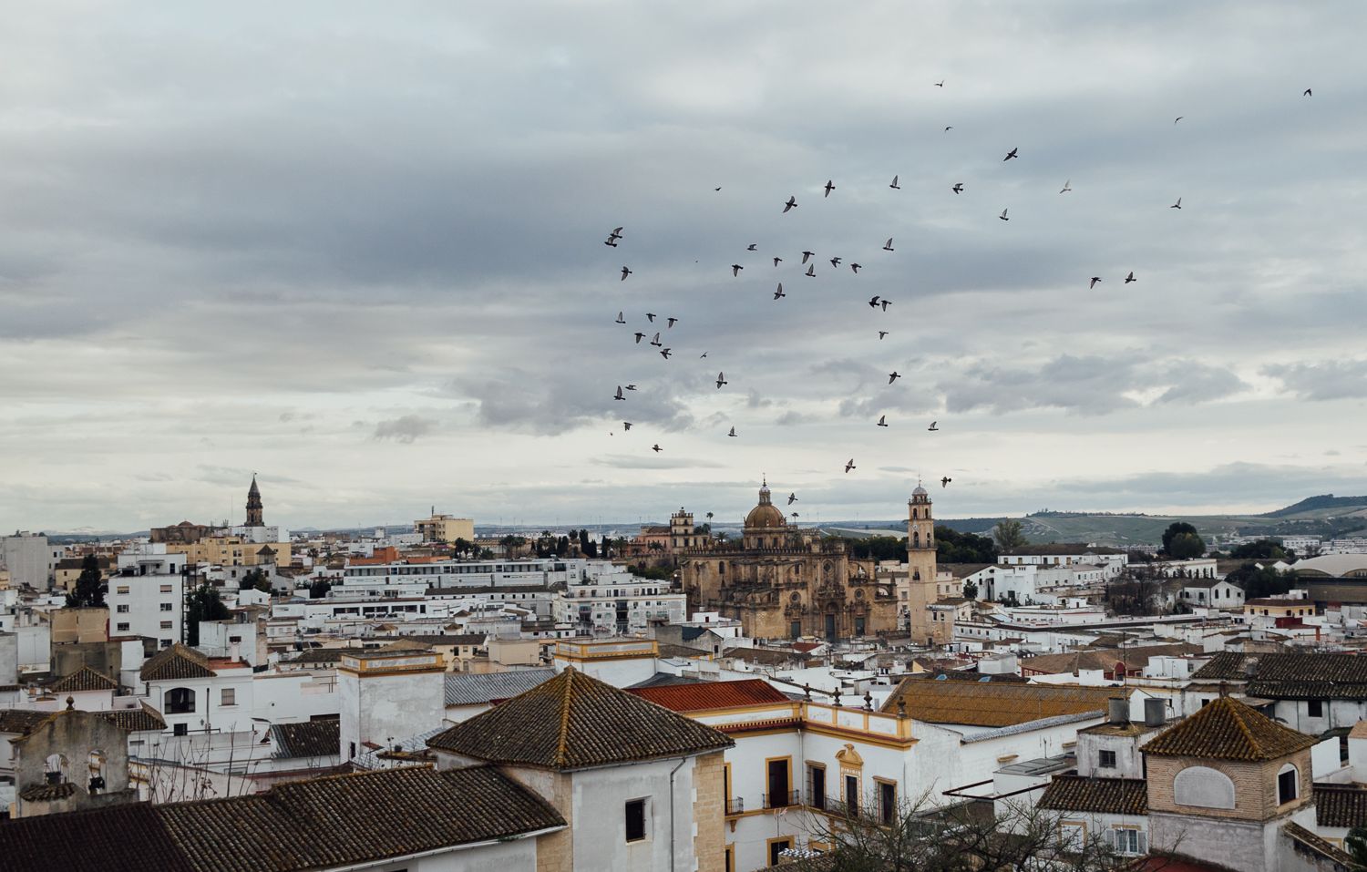 Vista del centro de Jerez desde San Juan de los Caballeros.