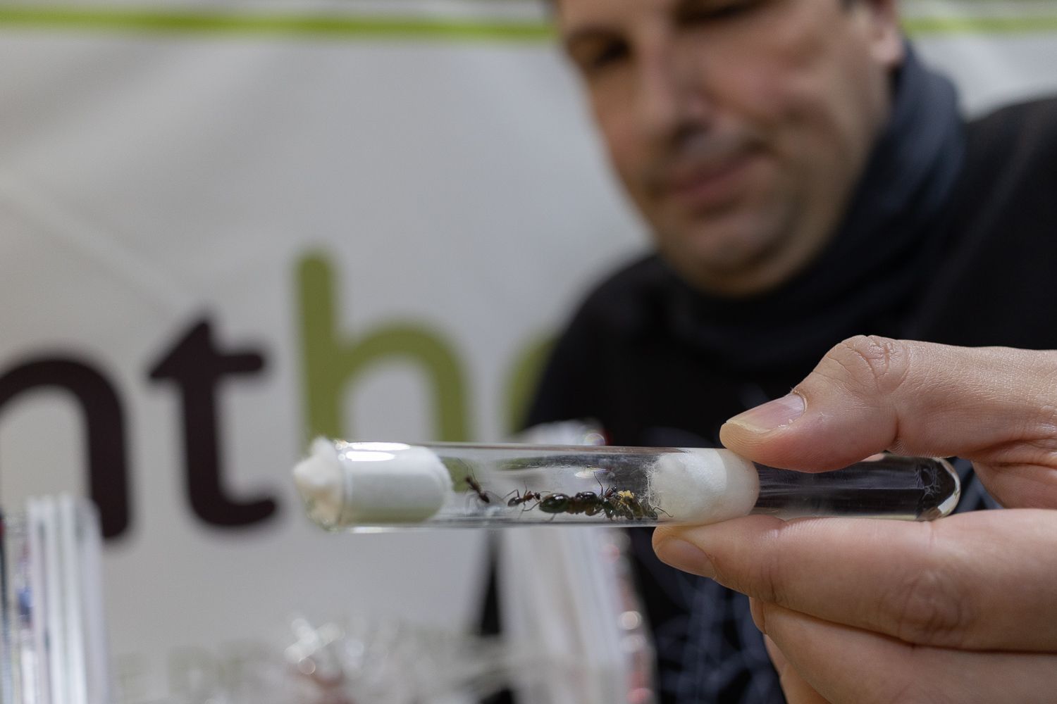 Roberto Huerta, dueño de 'Anthouse', creció en la pandemia y ahora tiene 15 trabajadores