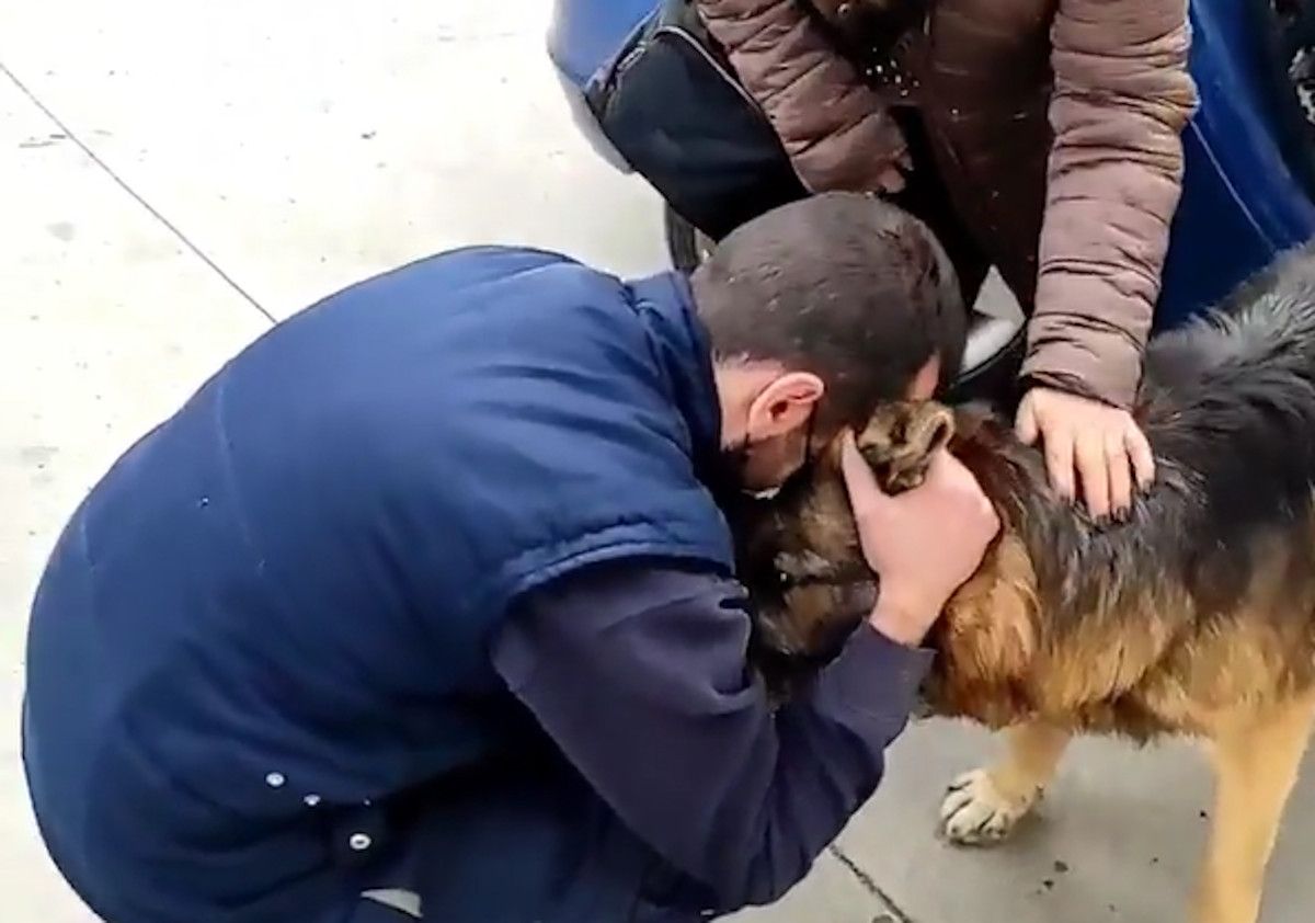 El conmovedor reencuentro de un perro perdido durante 7 años con sus dueños  en Granada