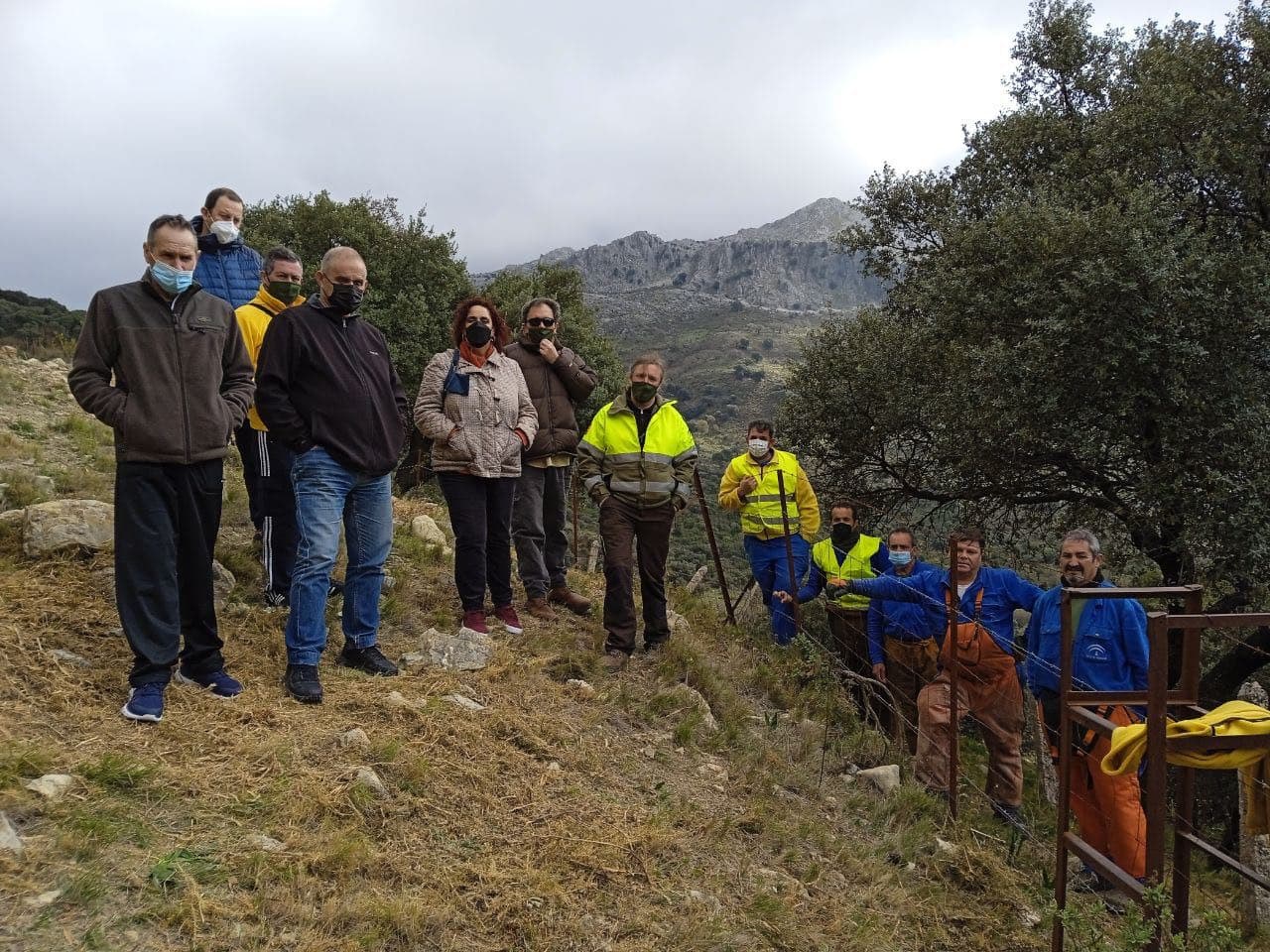 El abandono del Pinsapar de Grazalema y la precariedad de sus trabajadores, en estado de "gravedad extrema". FOTO: Adelante Andalucía.