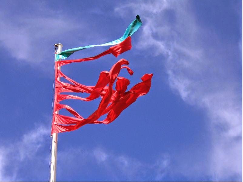 Bandera de Zamora.