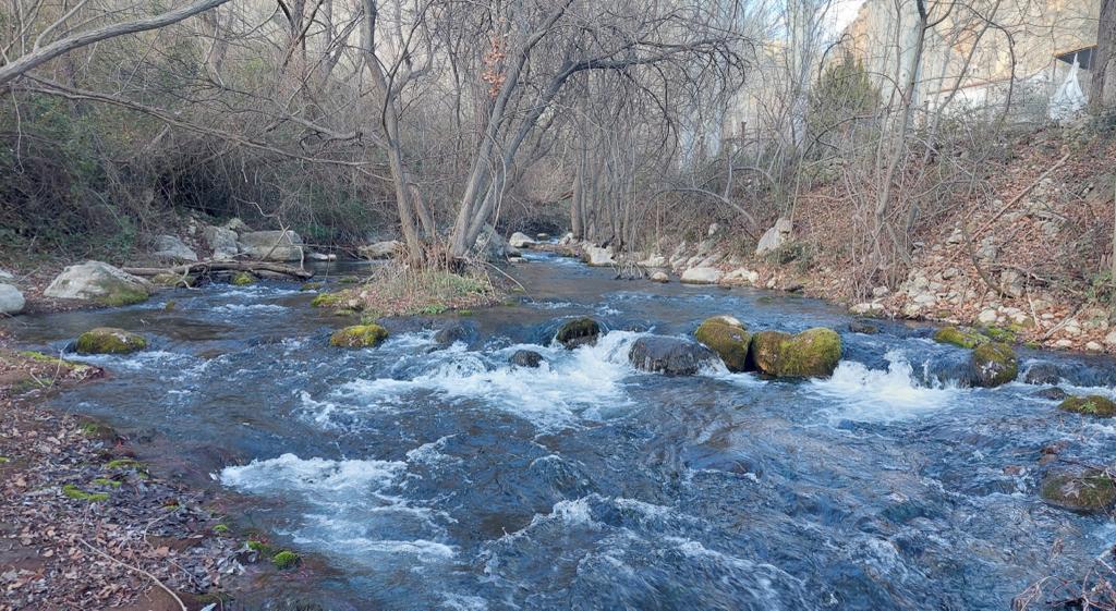 Los ríos son ecosistemas vivos: historia del río Castril. Artículo de opinión escrito por Miguel Ortiz.