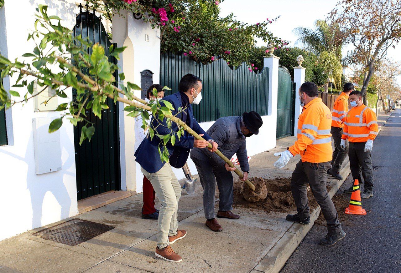 El Ayuntamiento de Jerez planta 300 árboles en la barriada de La Marquesa