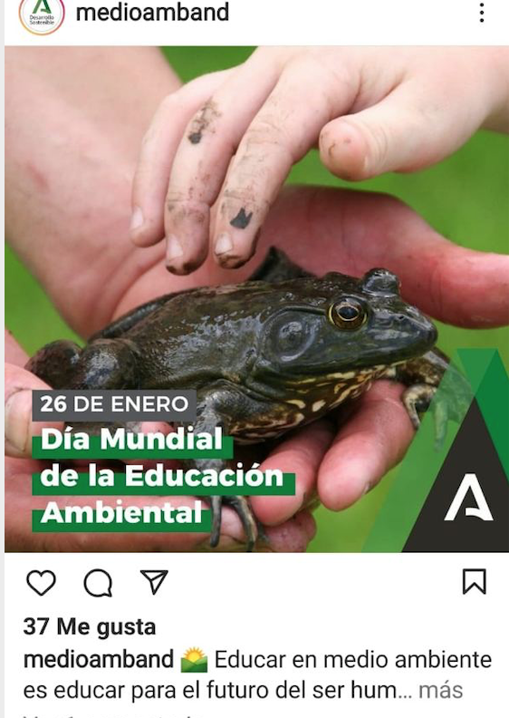 Publicación de la Junta de Andalucía en el Día Mundial de la Educación Ambiental.