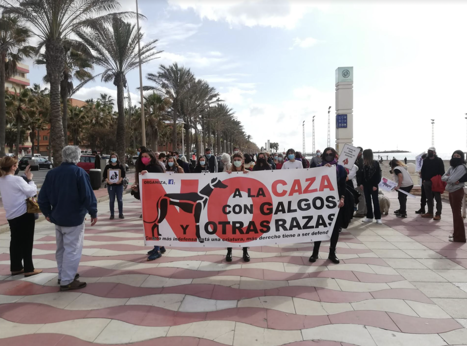 Artículo de opinión escrito por Moisés S. Palmero Aranda, titulado 'No a la caza'. 