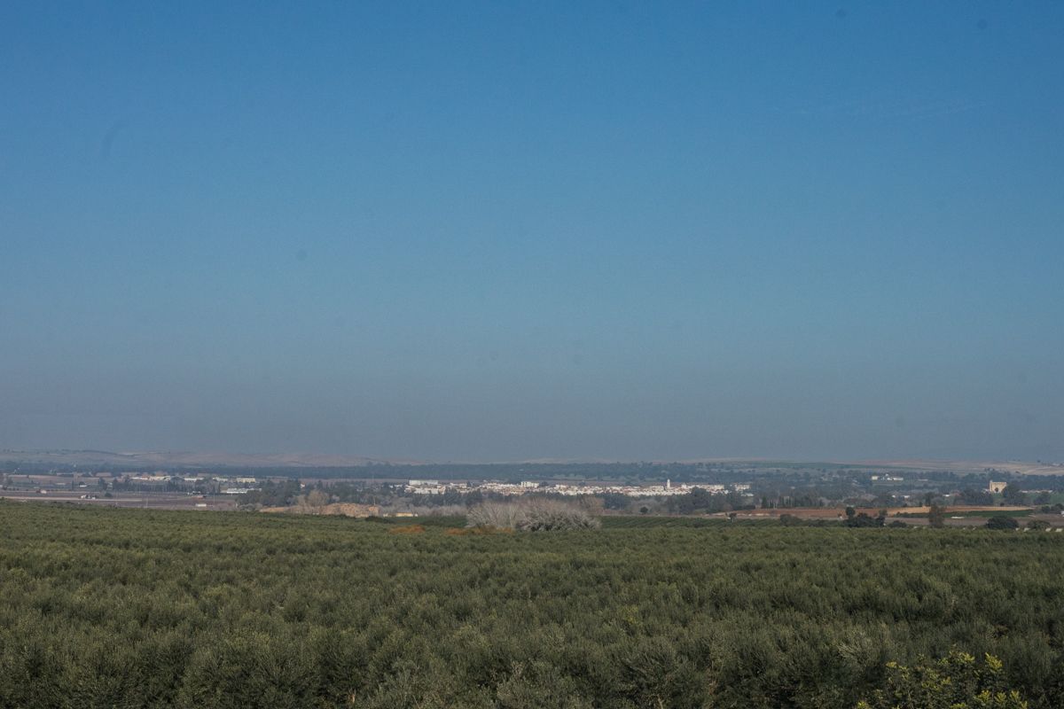 Vista general de Torrecera, en Jerez, donde Repsol levantará su megaparque fotovoltaico.