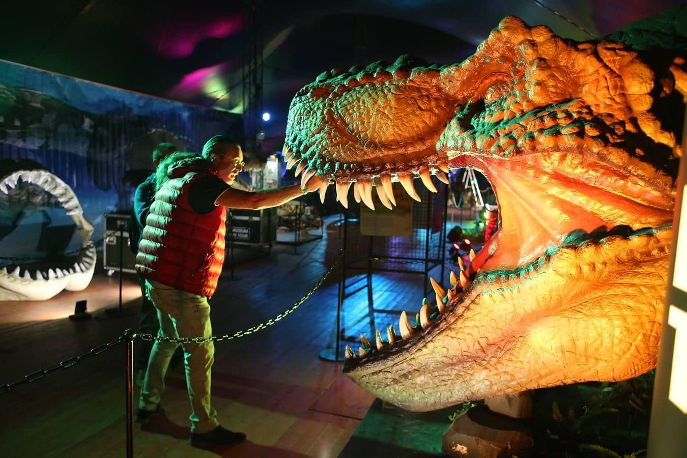 Un hombre visitando Dino Expo XXL, en una imagen de archivo. FOTO: DINO EXPO XXL. 
