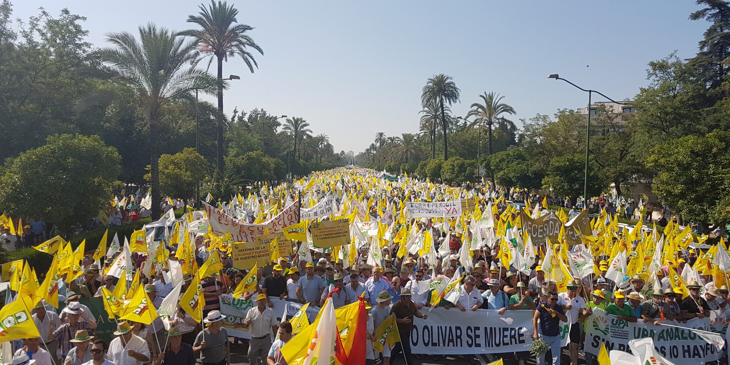 Manifestación del campo andaluz en La Palmera de Sevilla.