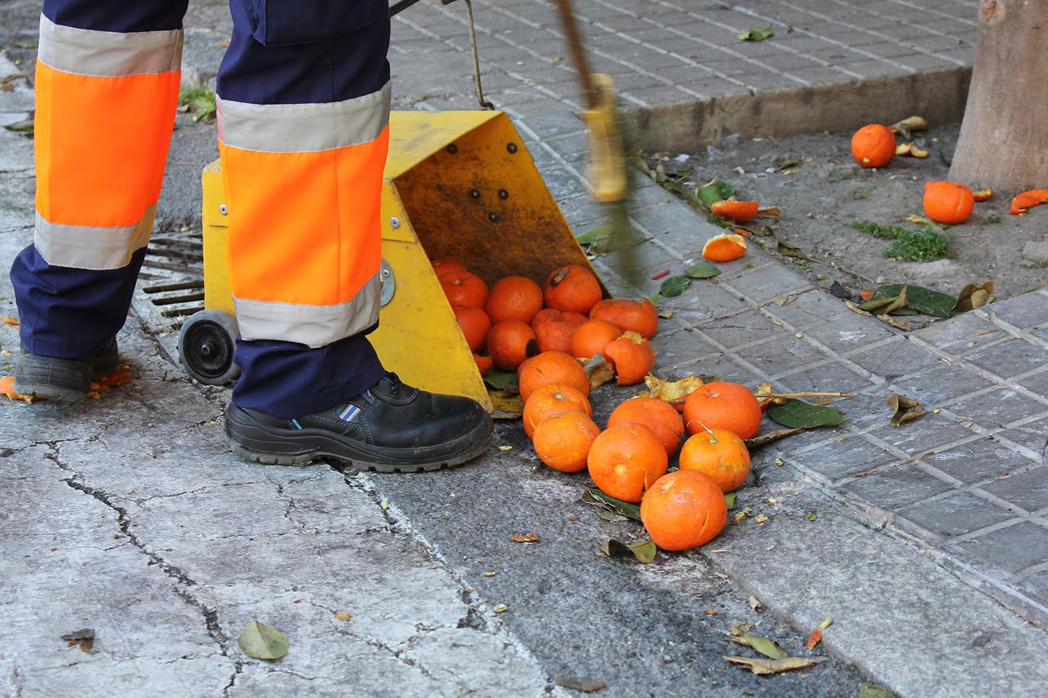 La naranja ácida de Sevilla está en peligro por la llegada de una plaga letal para los cítricos a Europa.