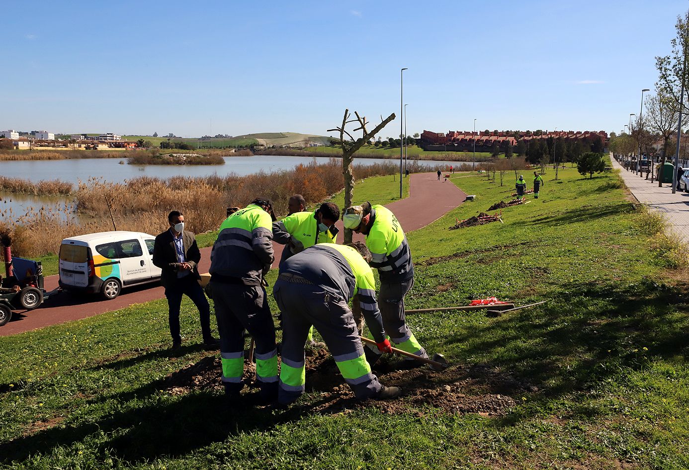 VII campaña consecutiva de plantación de arbolado en la Laguna de Torrox.