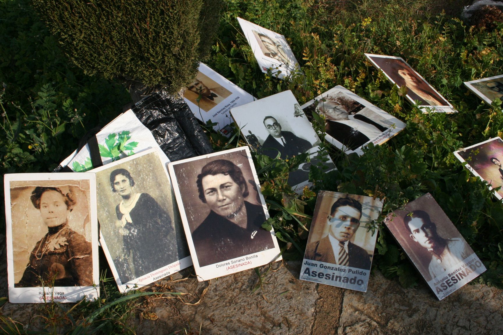 Algunas de las fotografías de los enterrados en Pico Reja sobre el espacio sin delimitar de la fosa común, en Sevilla