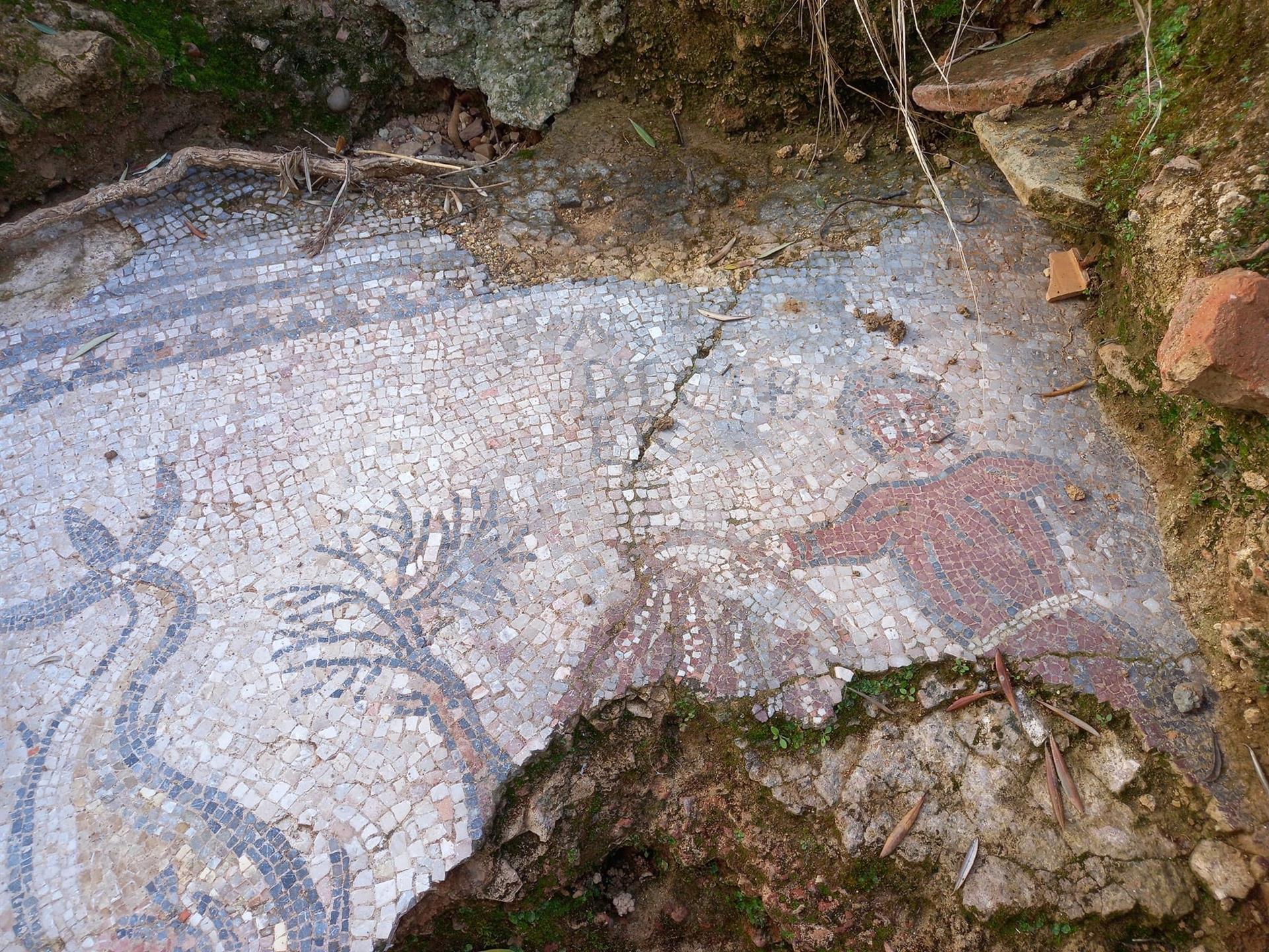 El mosaico, hallado en un olivar de Adamuz, en una fotografía de Alejandro Ibáñez.