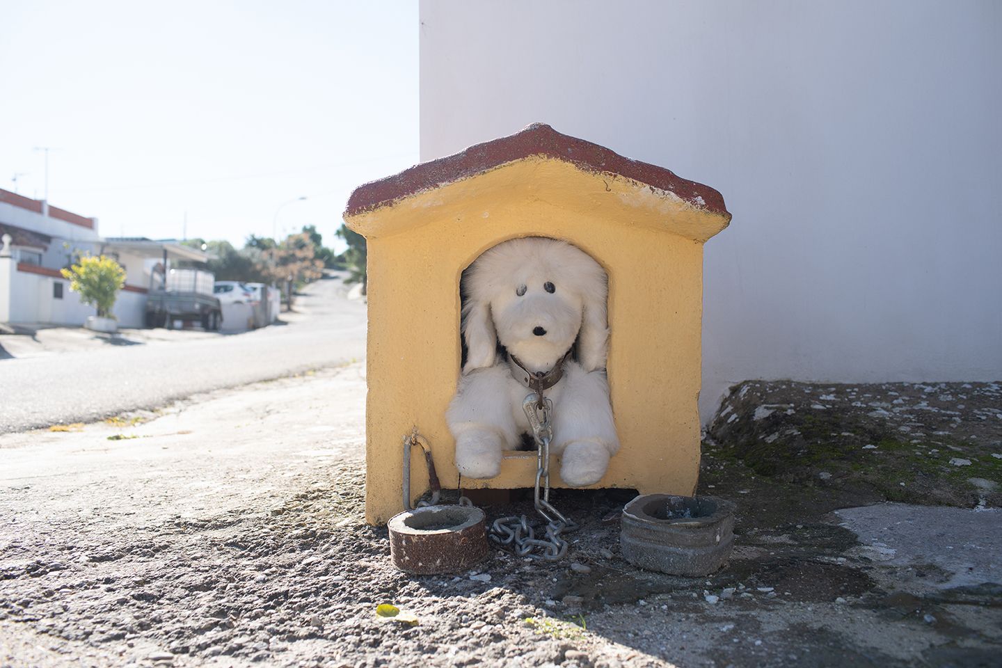 Una peculiar caseta de perro en la barriada rural de El Mojo, cada vez más despoblada. FOTO: JUAN CARLOS TORO.