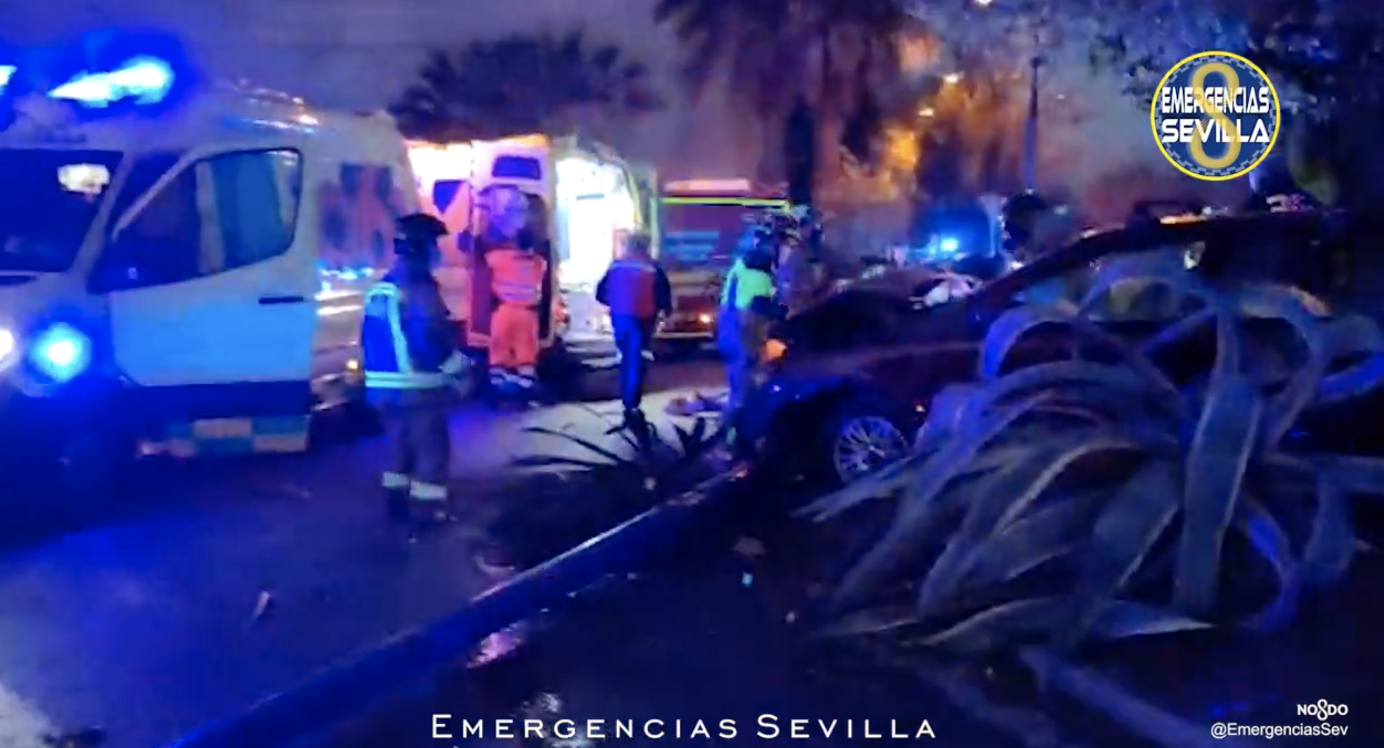 Una menor de 16 años ha fallecido en Sevilla: el conductor ha dado positivo en alcoholemia. 