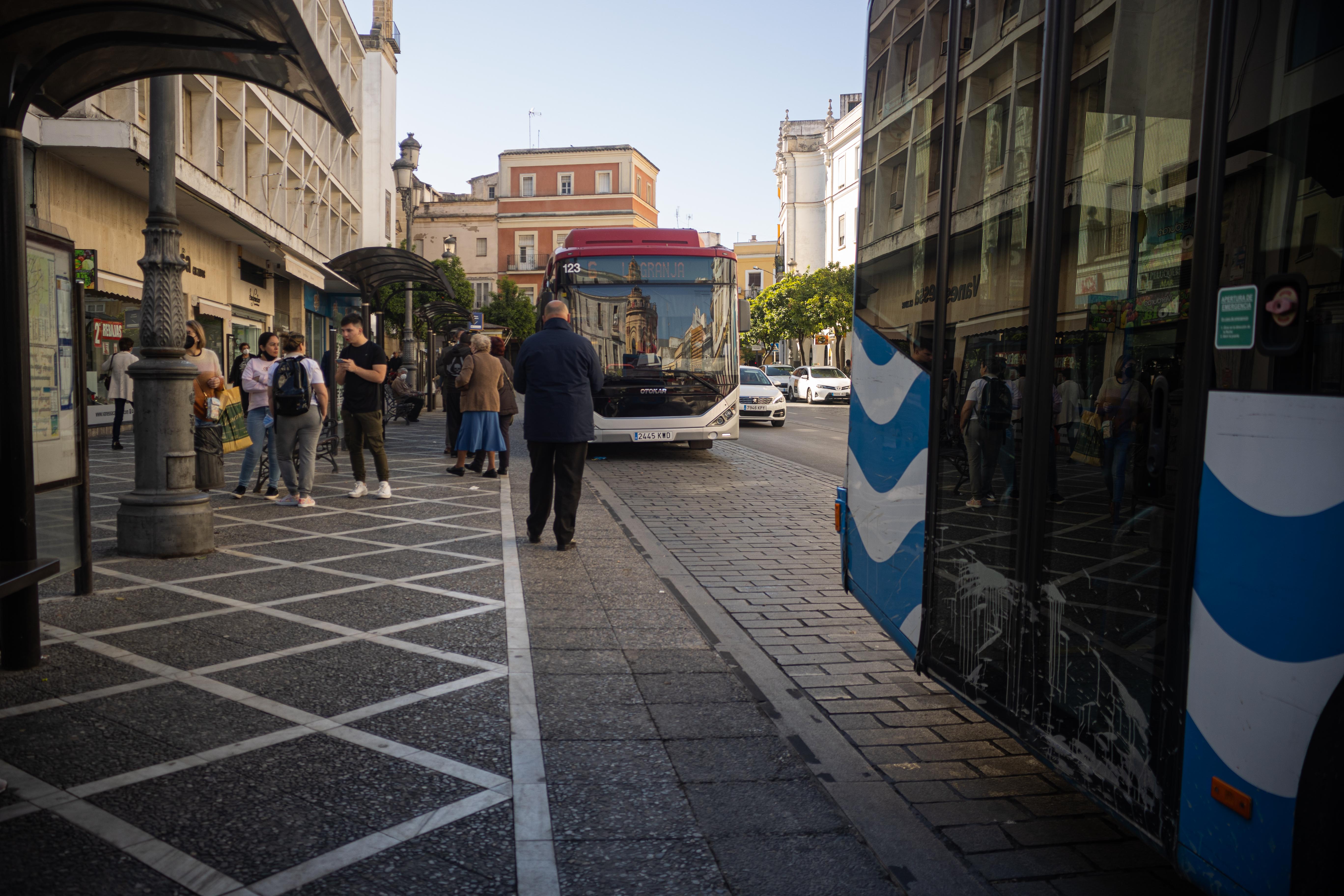 Autobuses en la plaza Esteve en Jerez.
