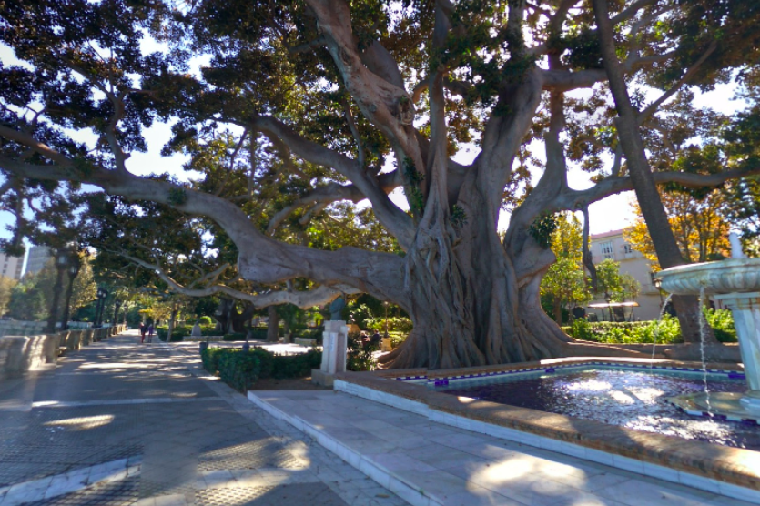 Una imagen de archivo de la alameda Marqués de Comillas.
