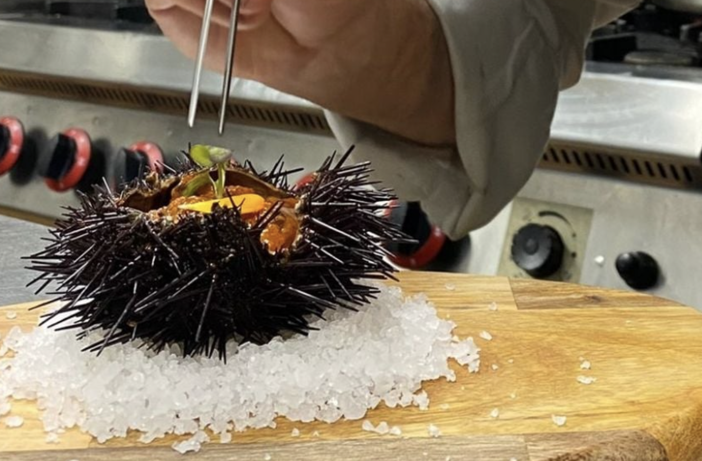 Erizo gratinado, una de las grandes sorpresas de Avanico de Fran Oliva.