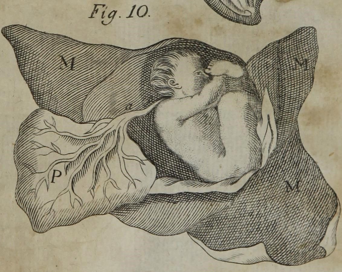 Ilustración de un bebé en el documento, del siglo XVIII
