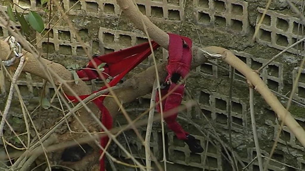 Correa del perro de Juan Antonio, en el interior del pozo. 