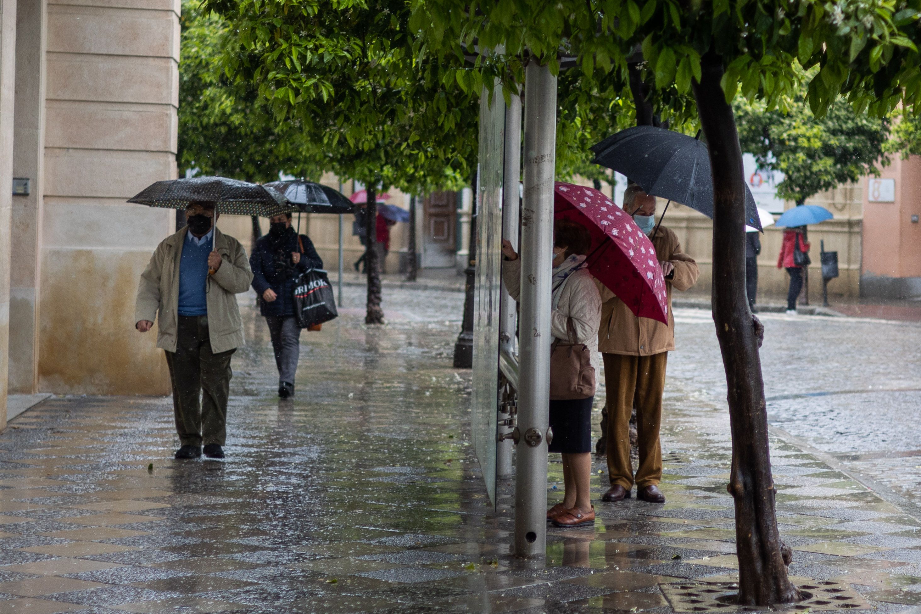 Lluvia de Jerez.  Se activa el riesgo Naranja en Cádiz por los fuertes vientos y la lluvia de barro