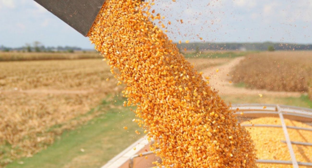 Las dificultades para la llegada de cereales desde Ucrania va a encarecer el precio de diferentes productos.